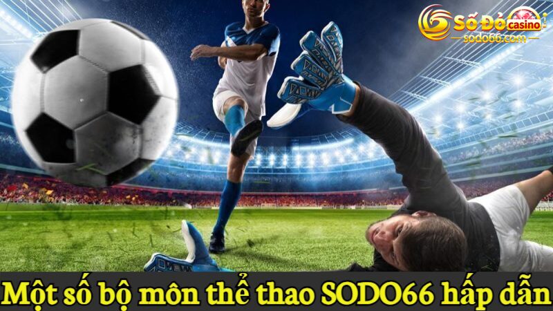 Một số bộ môn thể thao SODO66 hấp dẫn