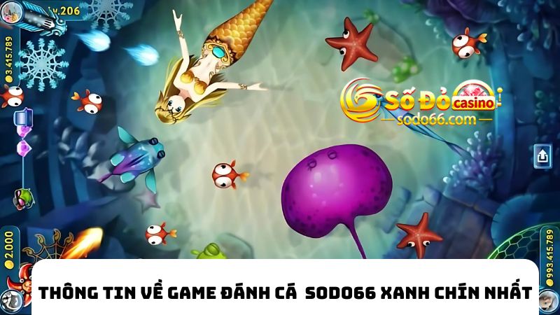 Thông tin về game đánh cá SODO66 xanh chín nhất