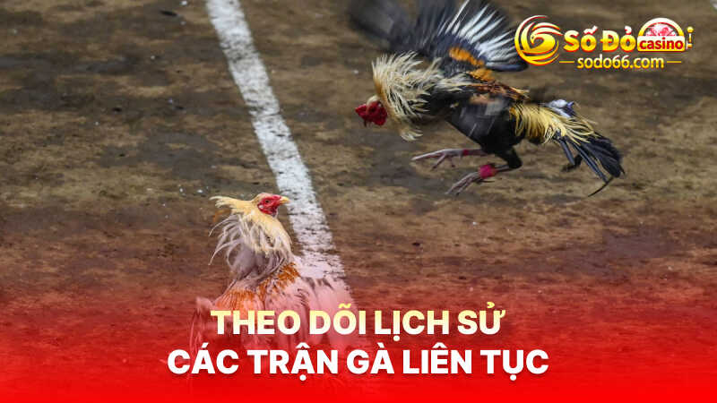 Theo dõi lịch sử các trận gà liên tục